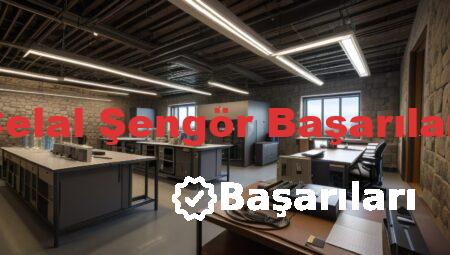 Celal Şengör Başarıları