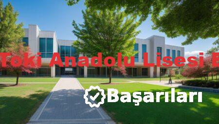 Karatay Toki Anadolu Lisesi Başarıları