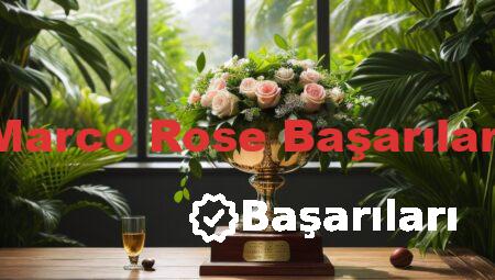 Marco Rose Başarıları