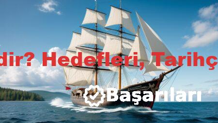 Greenpeace Nedir? Hedefleri, Tarihçesi ve Başarıları
