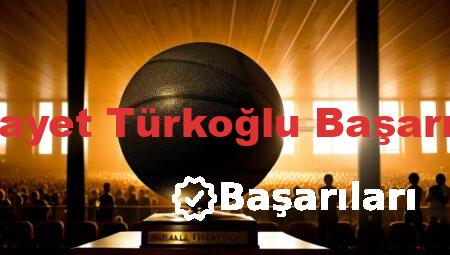 Hidayet Türkoğlu Başarıları