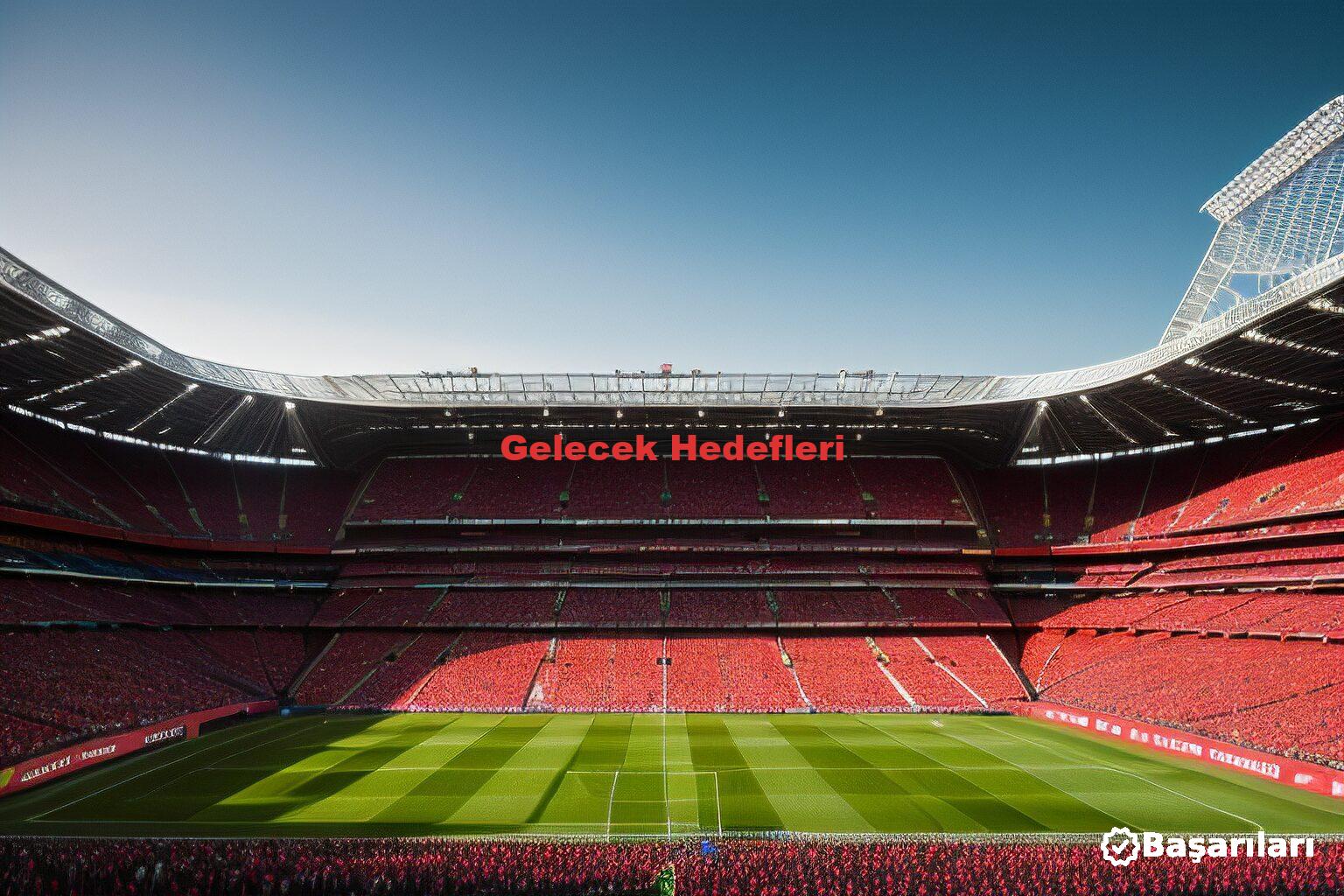 Gelecek Hedefleri