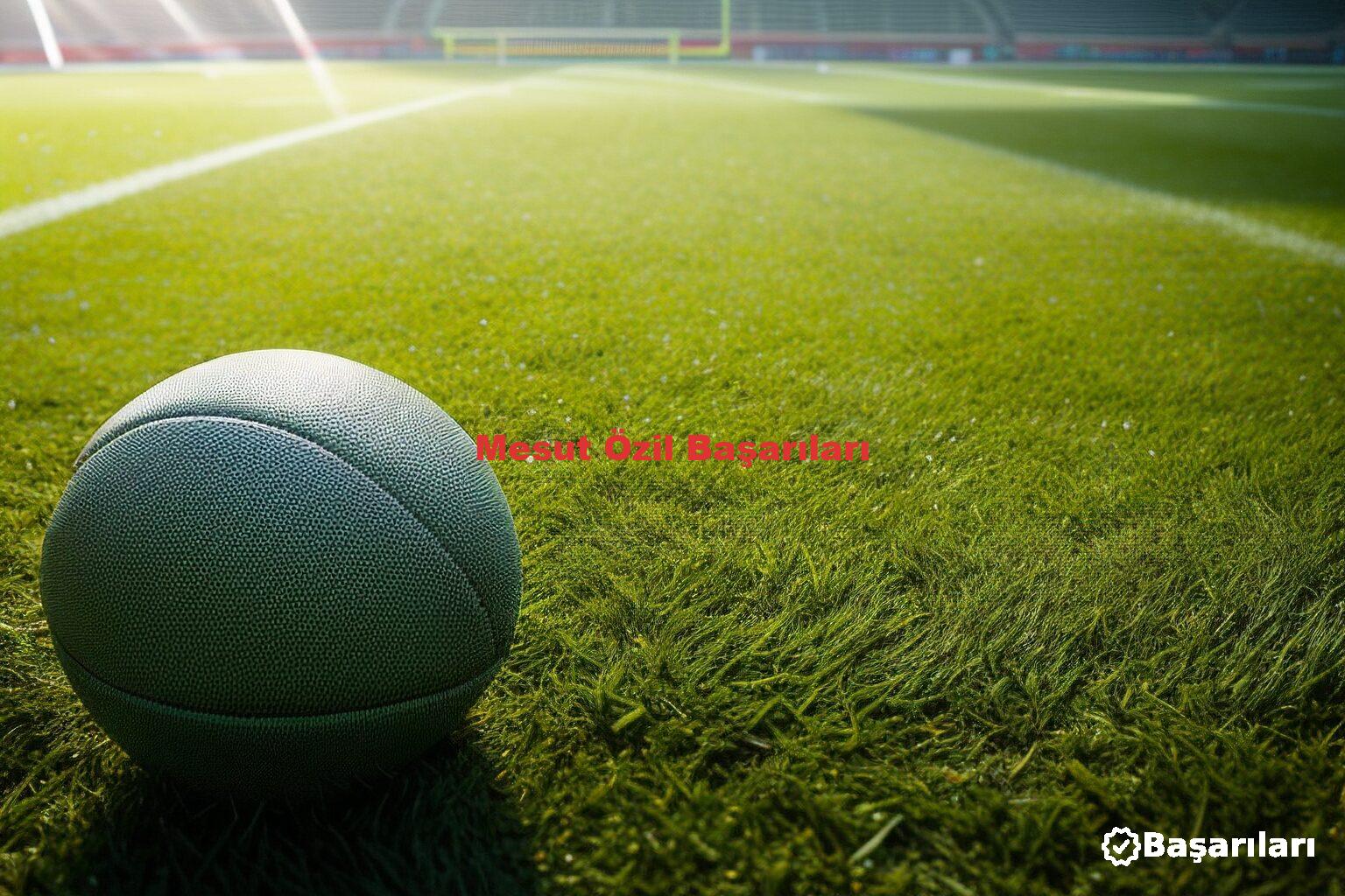 Mesut Özil Başarıları