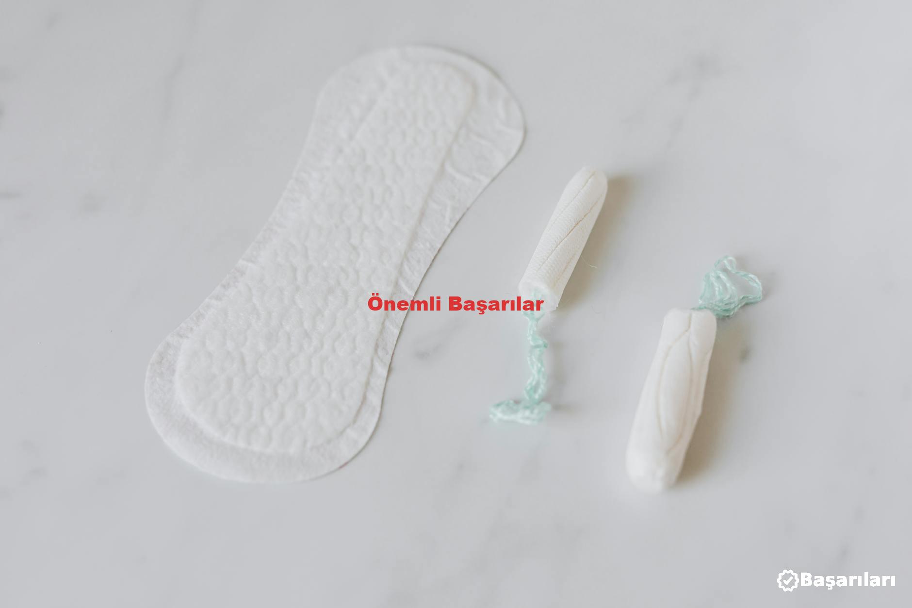 Önemli Başarılar