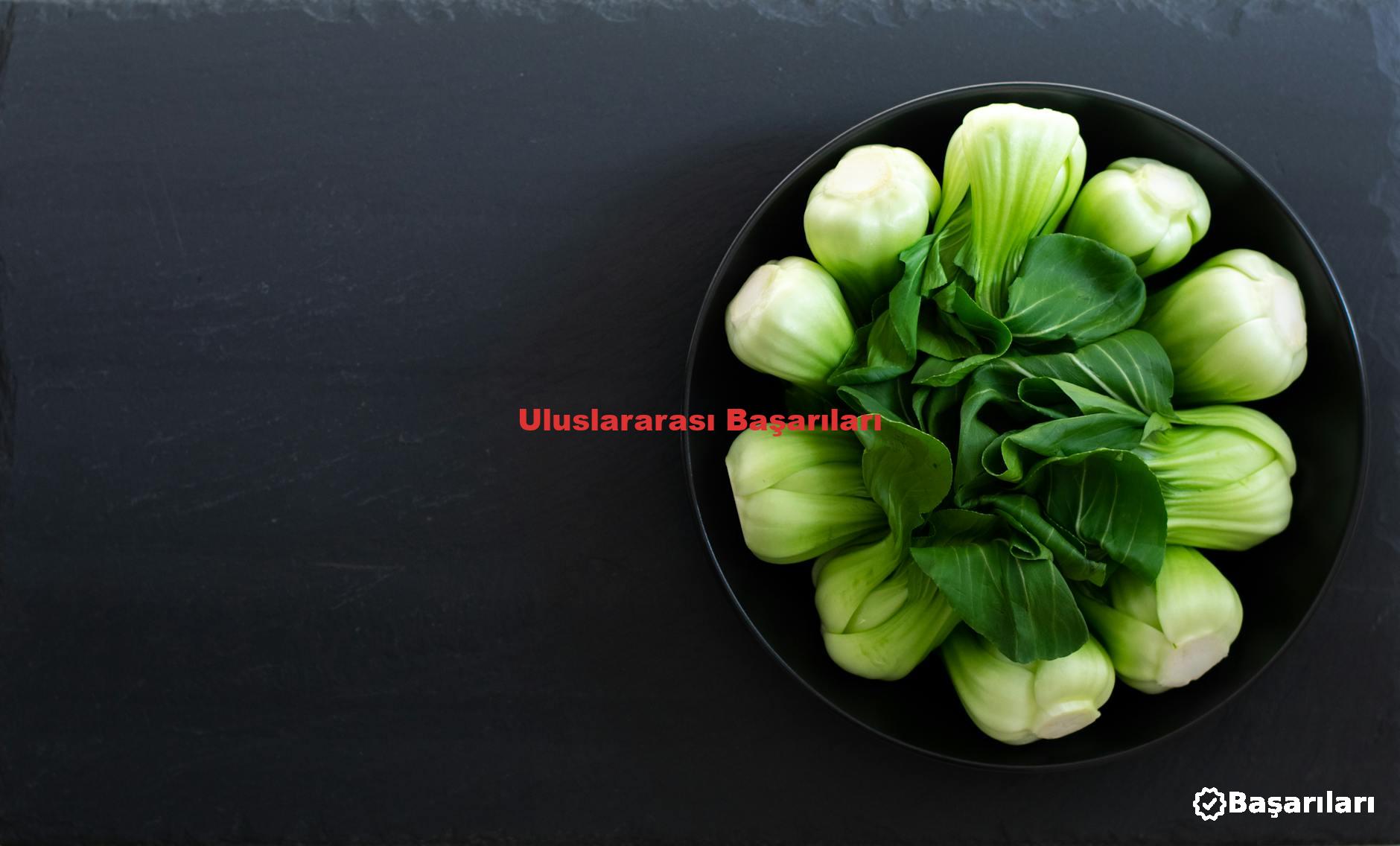 Uluslararası Başarıları