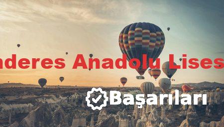 Adnan Menderes Anadolu Lisesi Başarıları