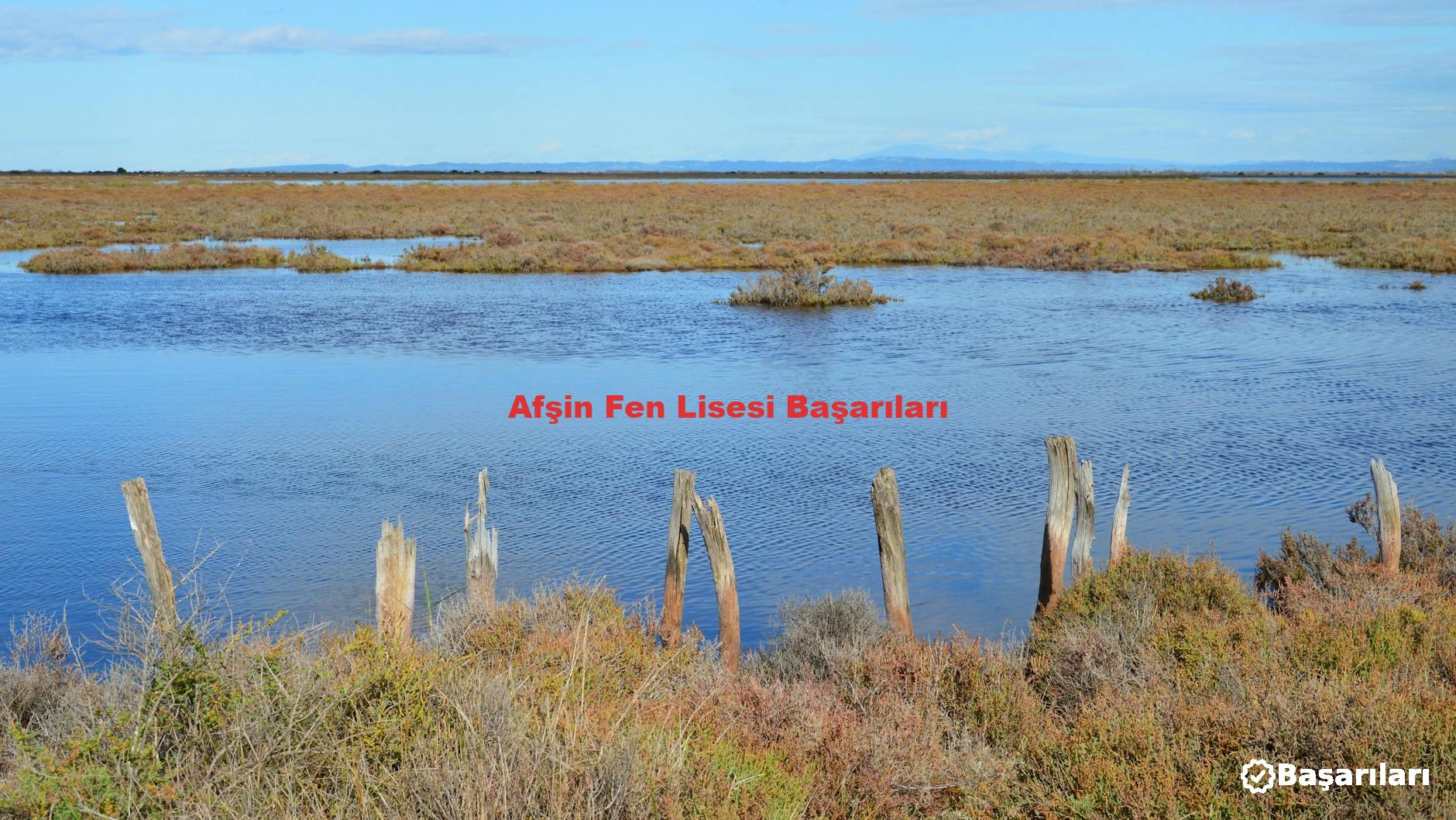 Afşin Fen Lisesi Başarıları