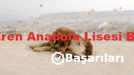 Ahmet Eren Anadolu Lisesi Başarıları