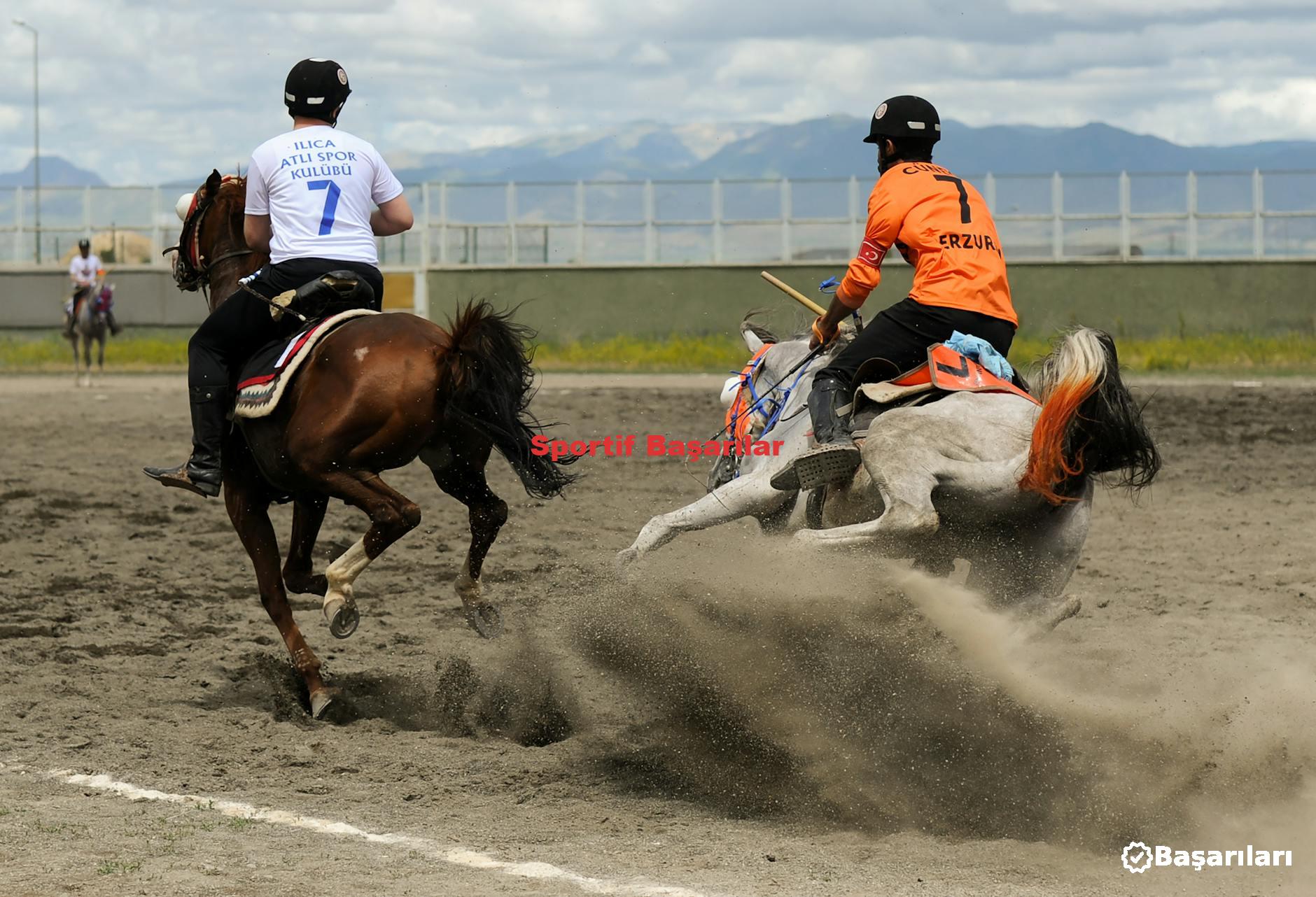 Sportif Başarılar