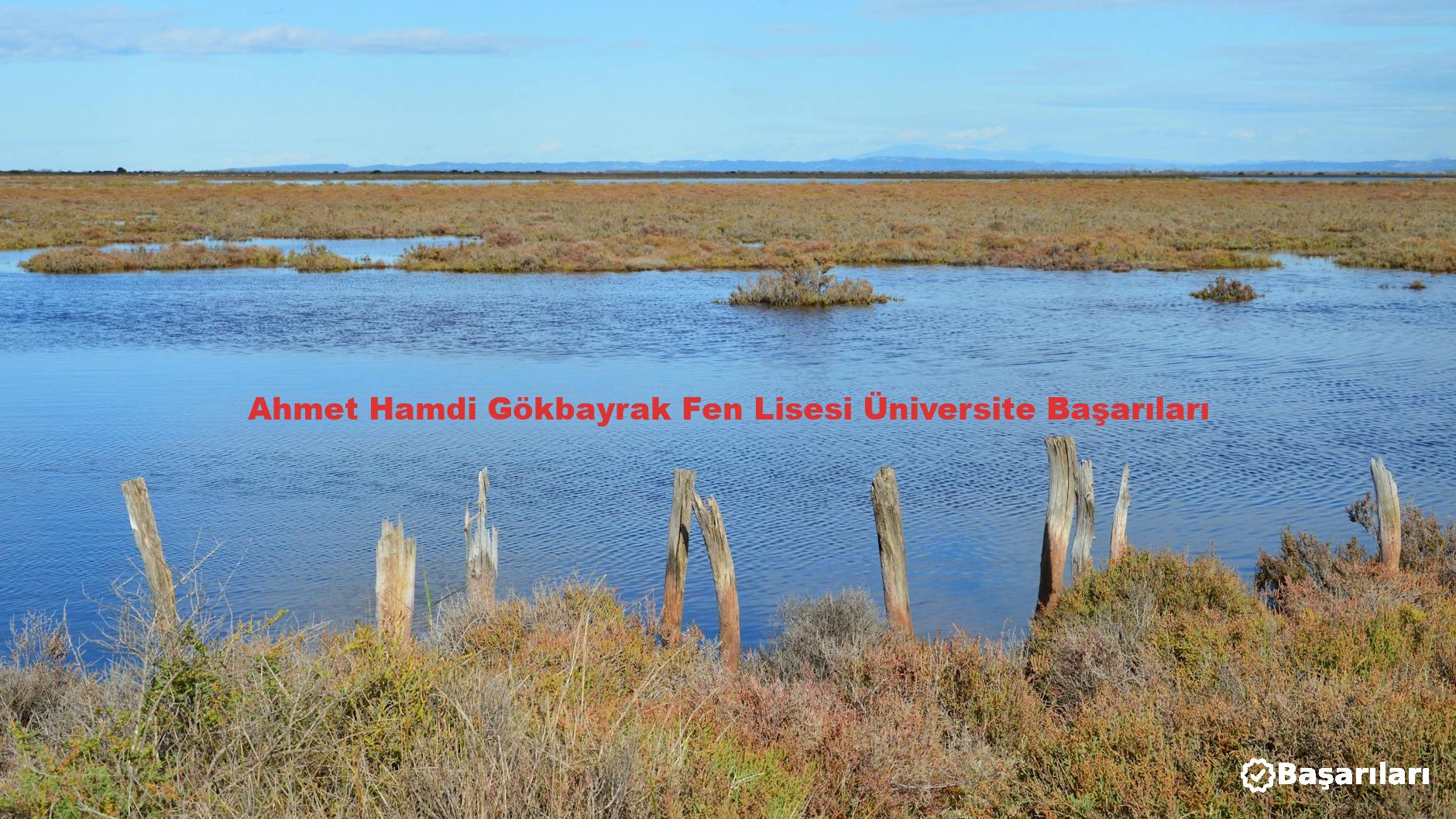 Ahmet Hamdi Gökbayrak Fen Lisesi Üniversite Başarıları
