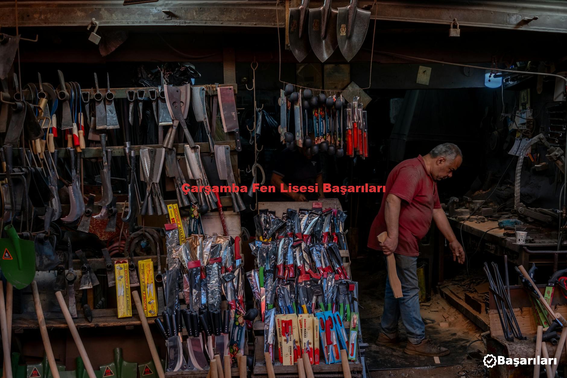 Çarşamba Fen Lisesi Başarıları