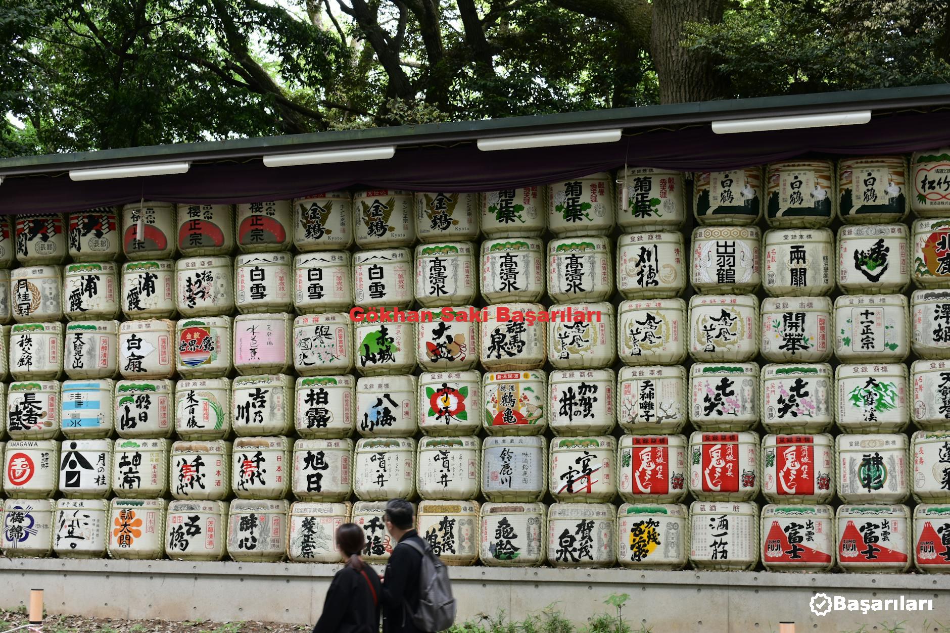 Gökhan Saki Başarıları