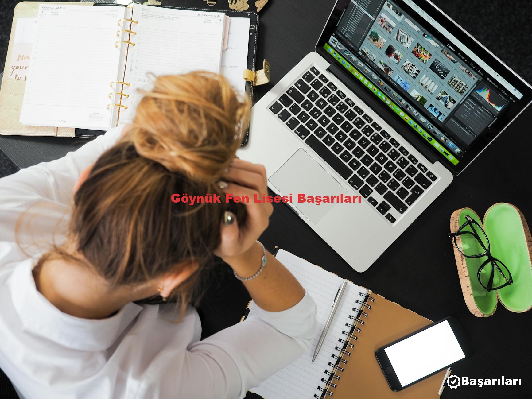 Göynük Fen Lisesi Başarıları