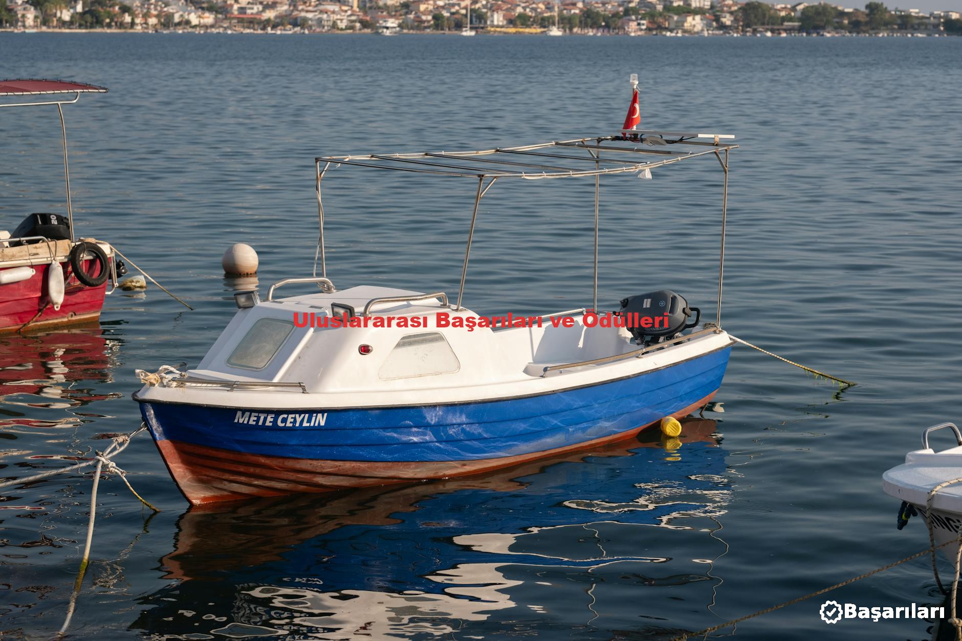 Uluslararası Başarıları ve Ödülleri