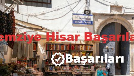 Remziye Hisar Başarıları