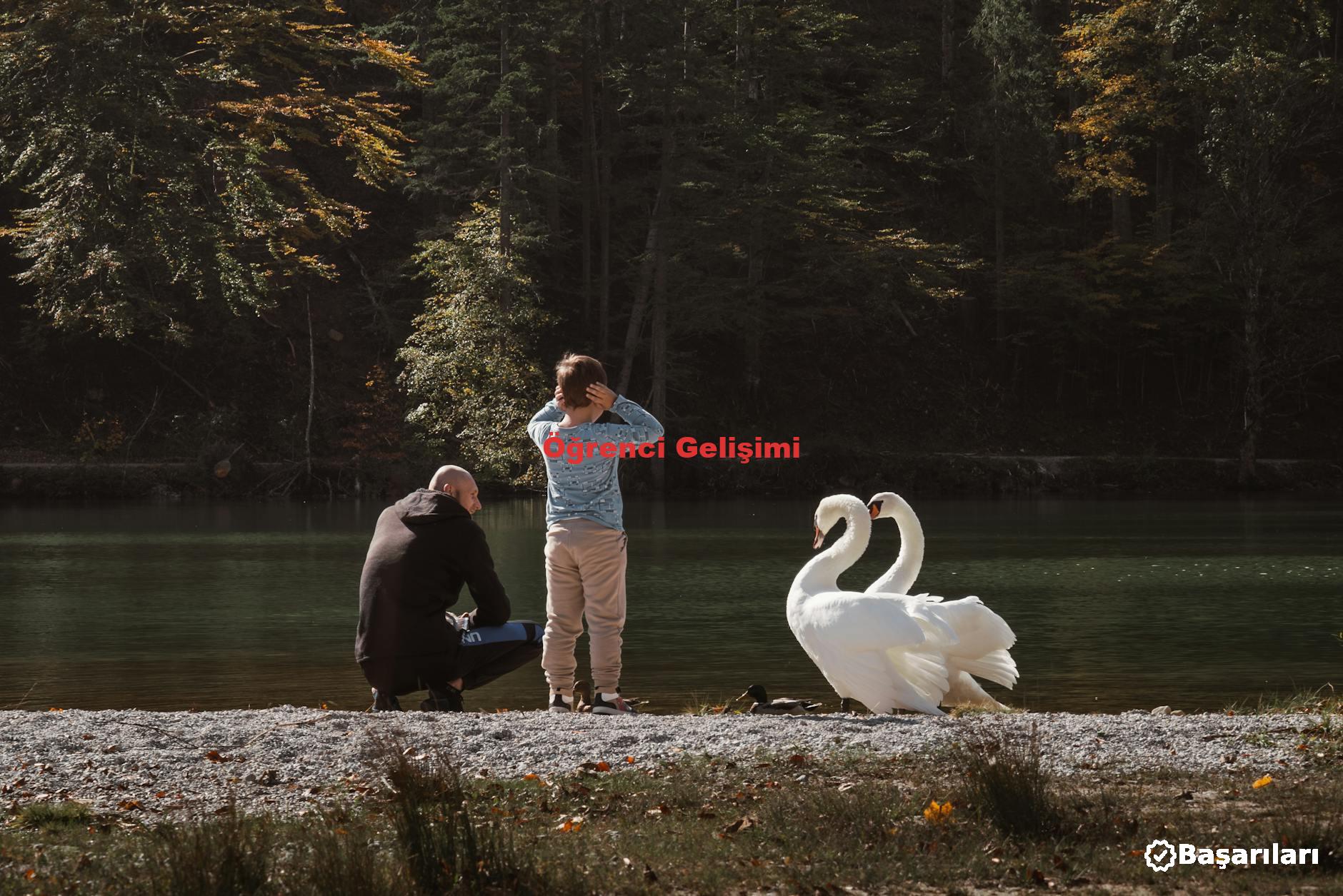 Öğrenci Gelişimi