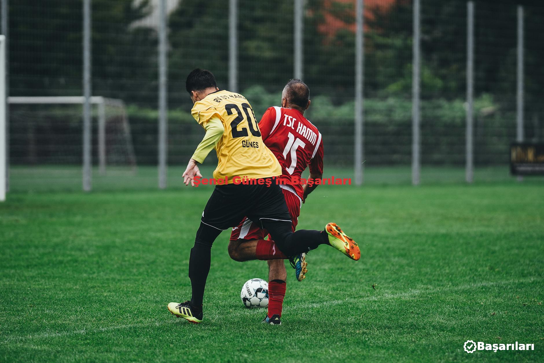 Şenol Güneş'in Başarıları