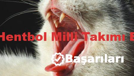 Türkiye Hentbol Milli Takımı Başarıları