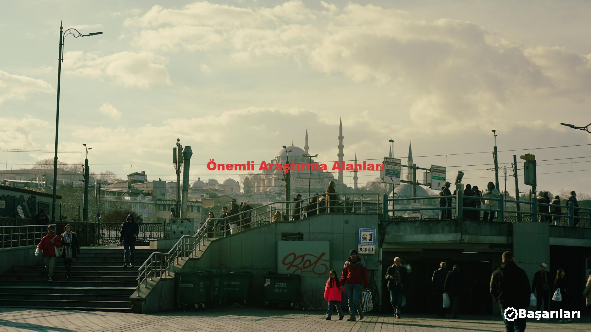 Önemli Araştırma Alanları
