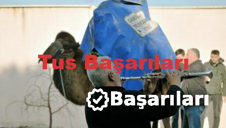 Tus Başarıları