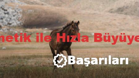 Fason Kozmetik ile Hızla Büyüyen Markalar