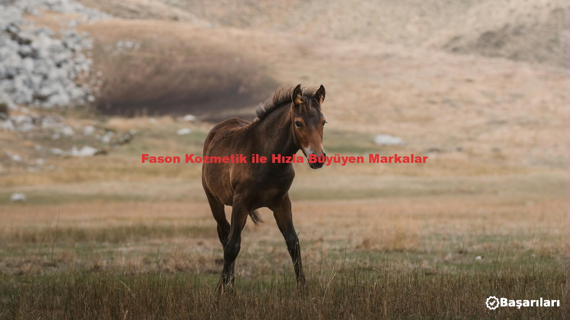 Fason Kozmetik ile Hızla Büyüyen Markalar