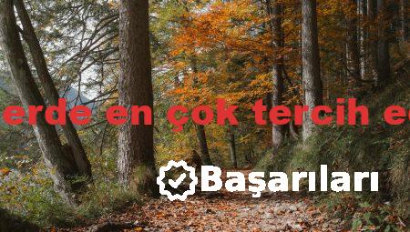Abiye elbiselerde en çok tercih edilen renkler