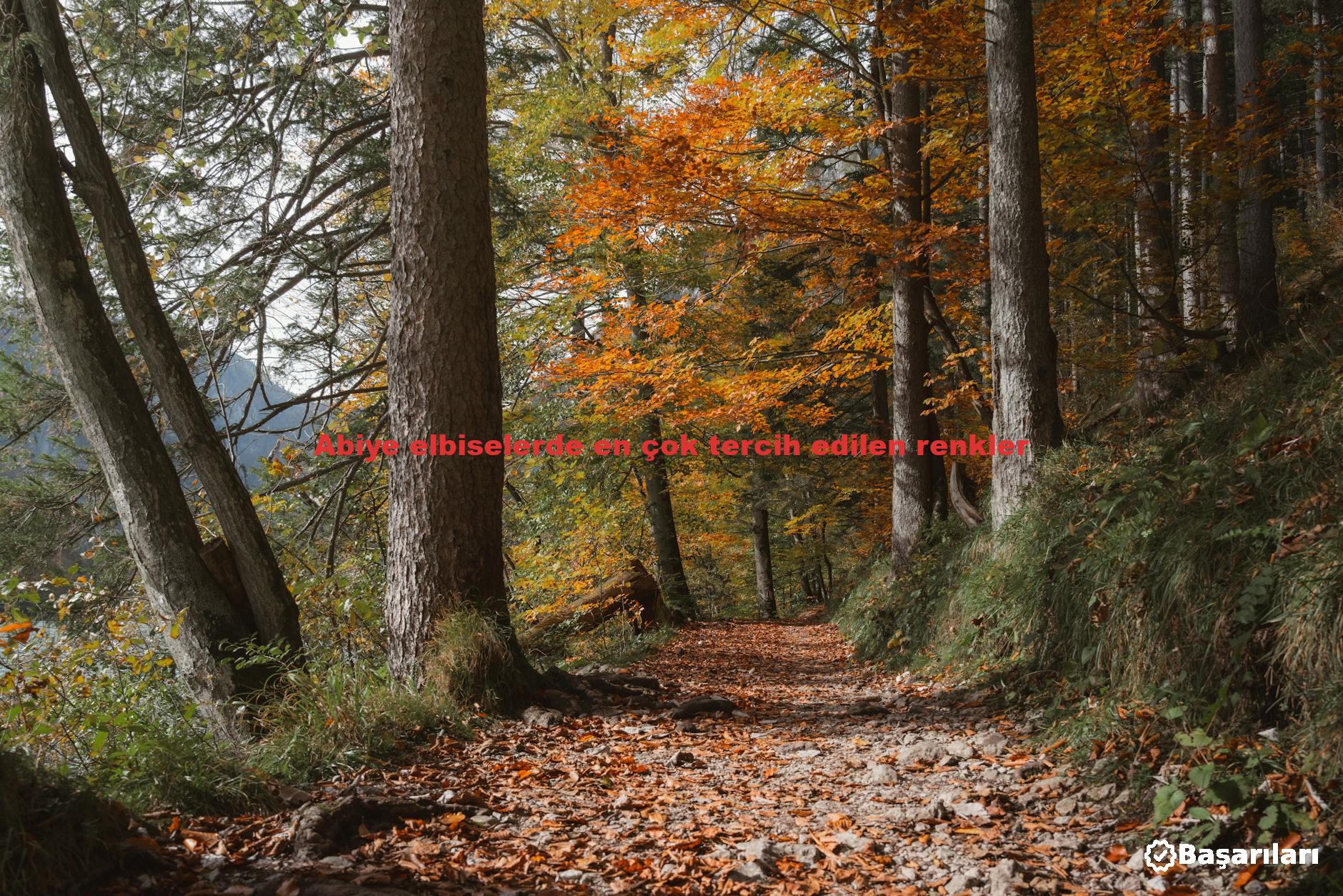 Abiye elbiselerde en çok tercih edilen renkler